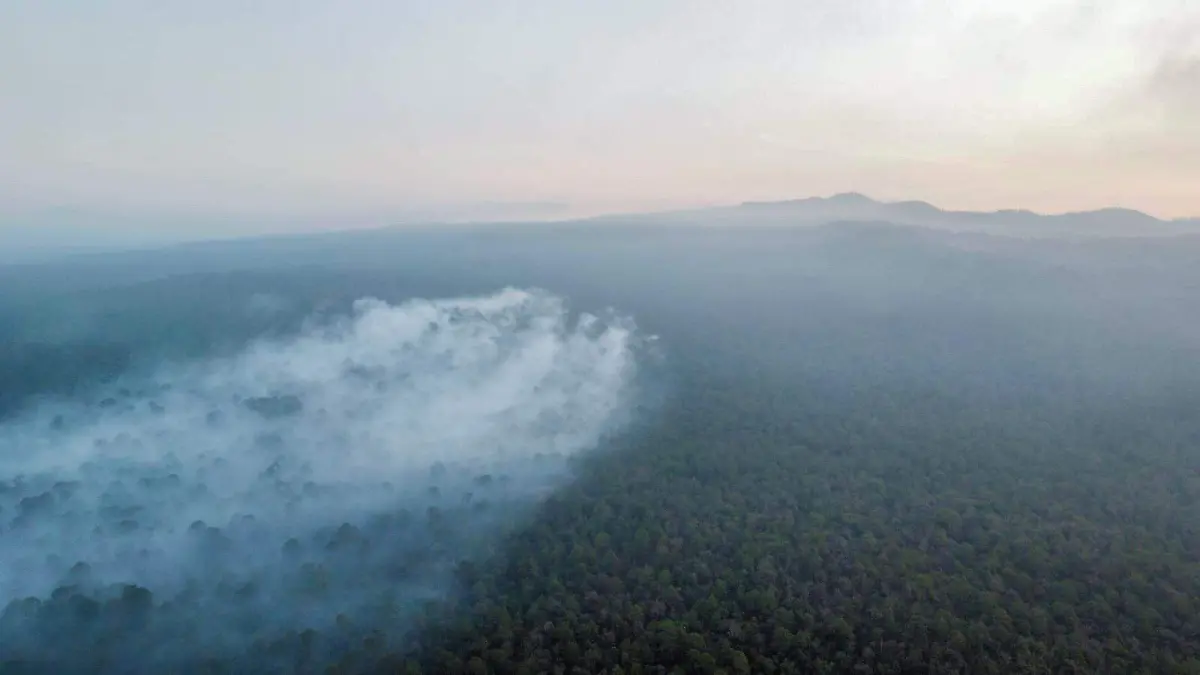 incendio-subterráneo-en-tepoztlán