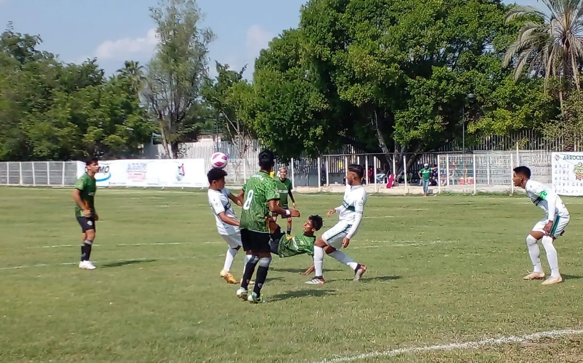 30-ARROCEROS SELVA-F-ROGER