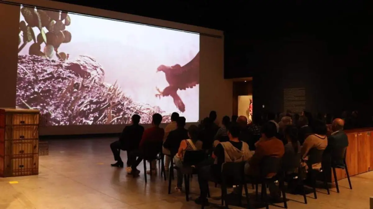 cinema-chinelo-maritza