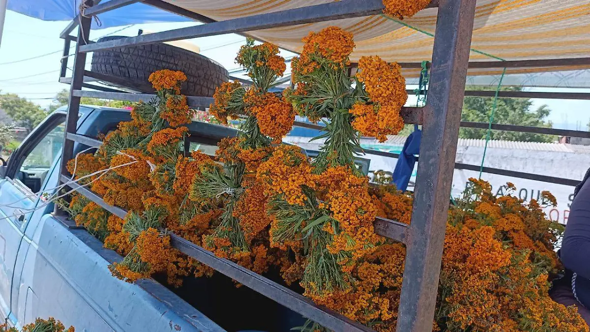 flor-de-pericon-ventas