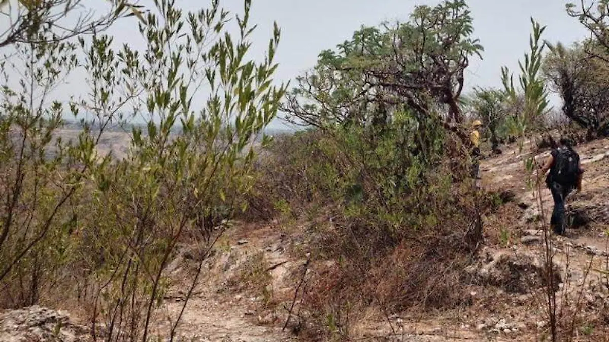 proyecto-minero-morelos