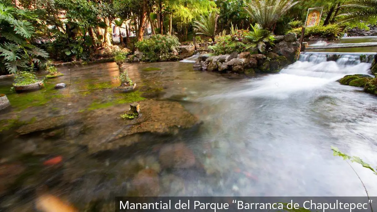 mantial-barranca-chapulteps