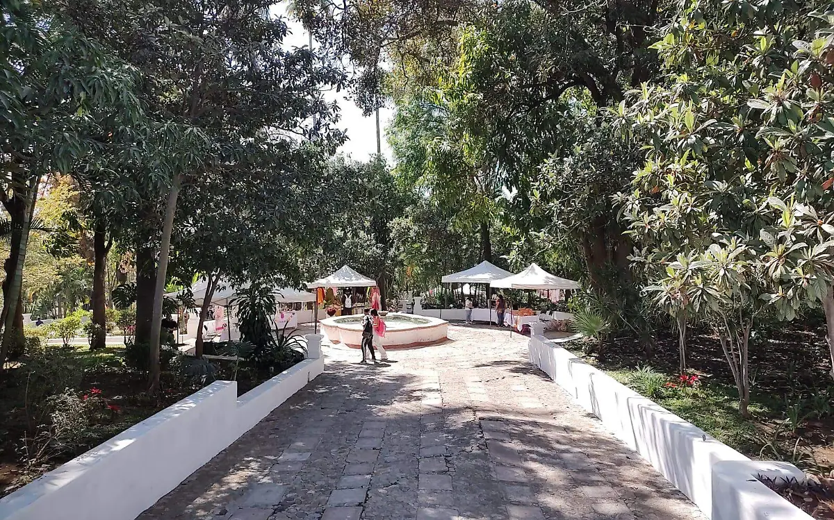 reapertura-jardín-borda (3)