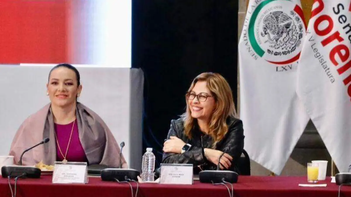 lucy-meza-llama-a-la-unidad-en-morena-cortecia