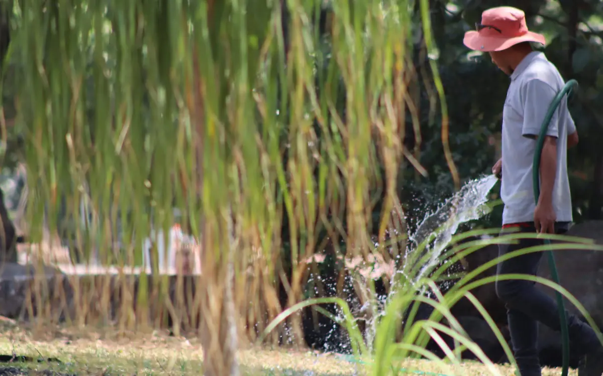 agua-cuernavaca-jardines