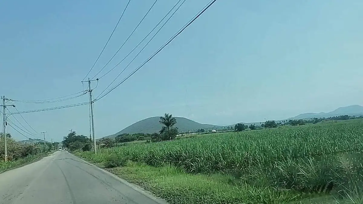 parcelas-de-zacatepec-angelina