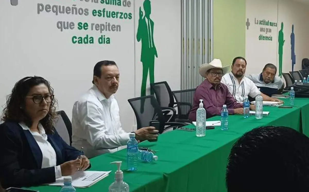 cfe-acuerdo-con-xoxocotla