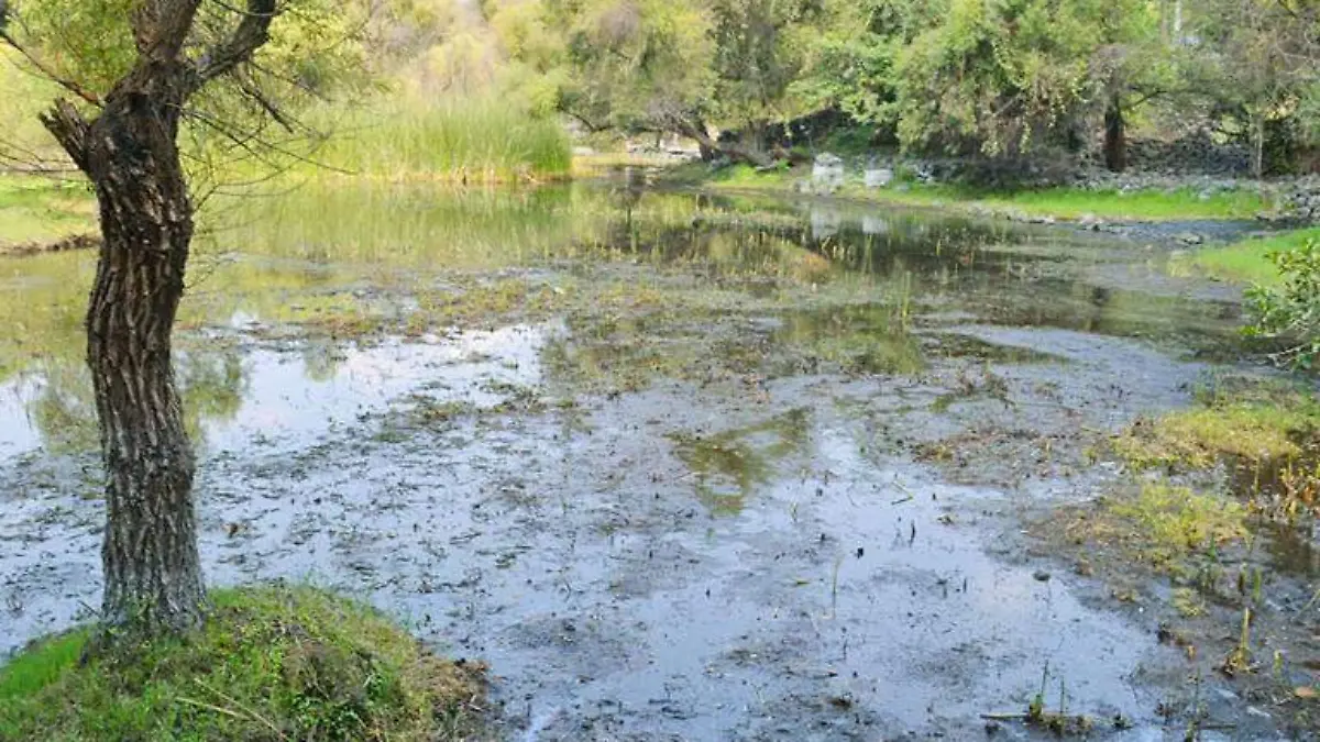 medioambiente-archivo-oem
