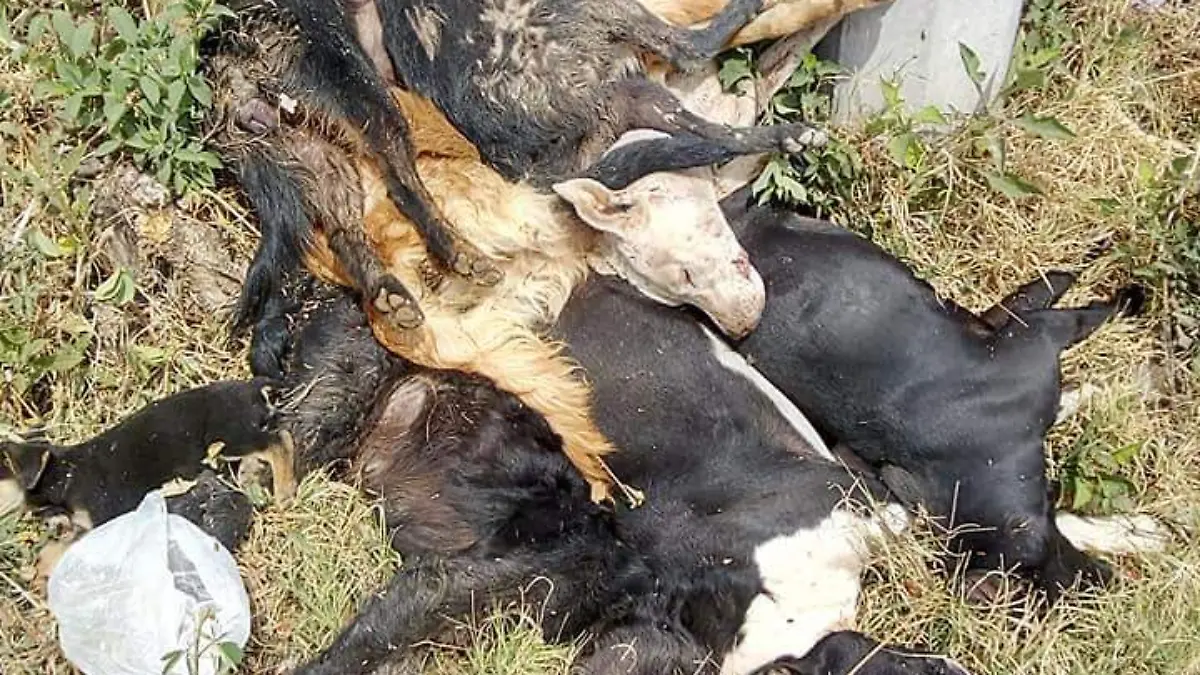 53785448_297189197625971_5410202781866786816_n