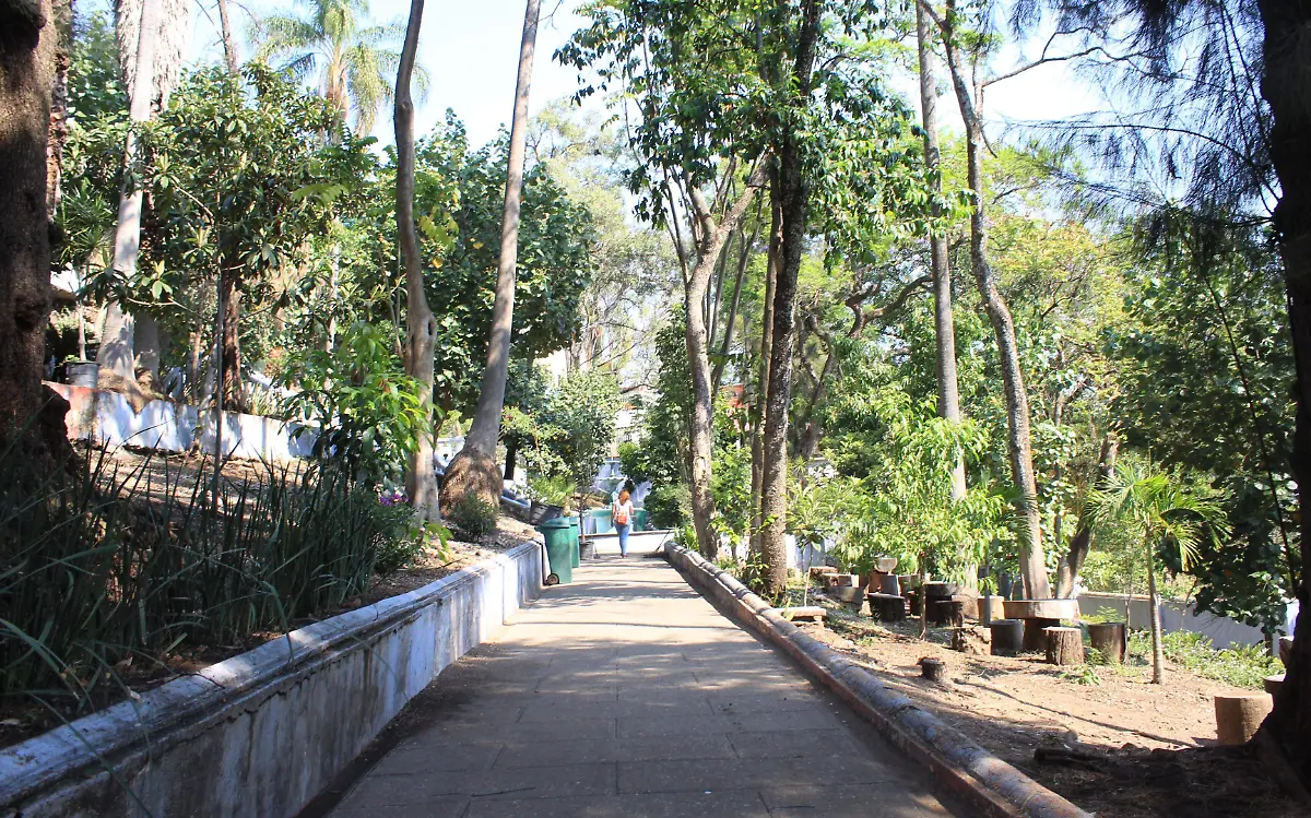 jardín
