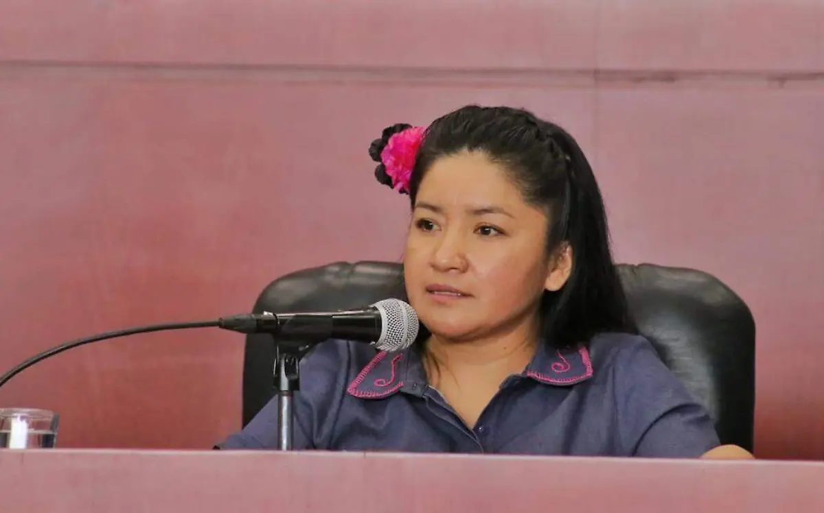 diputada-local-macrina-vallejo-bello-agus