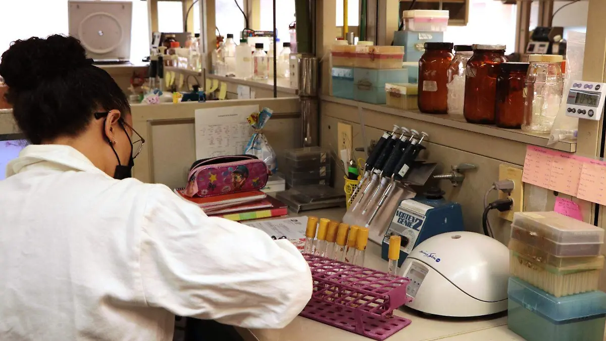 investigadores-morelos