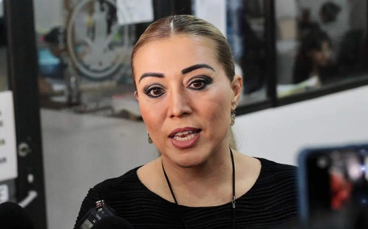 penelope-picazo-titular-de-la-comisión-de-victimas