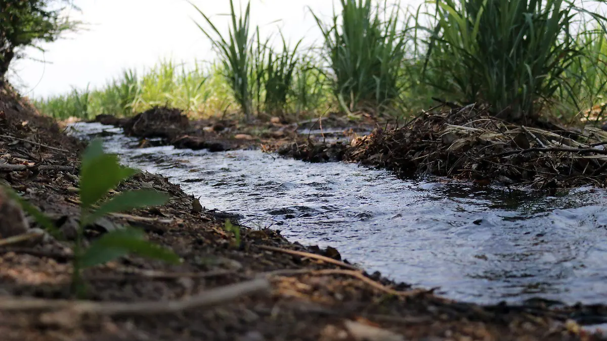 758922_Tlaltizapán Cañaverales Agua 2_web