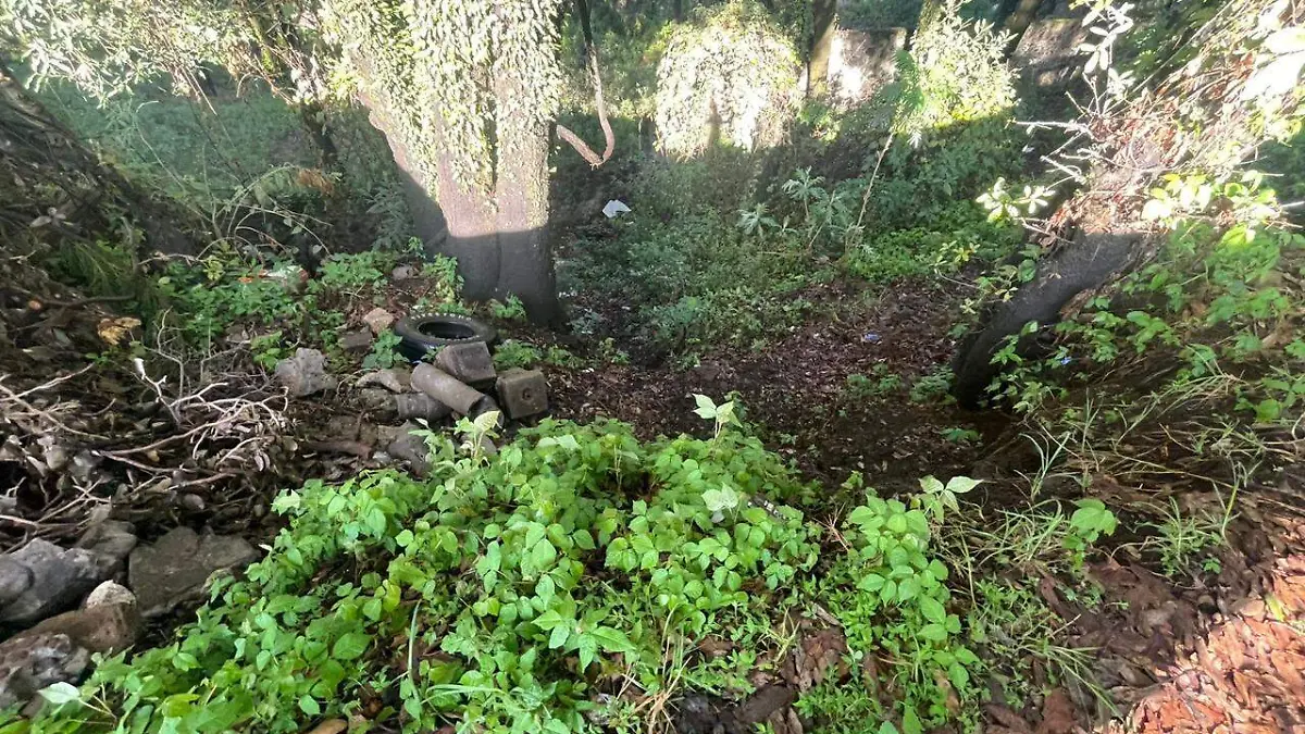 medioambiente-agustin