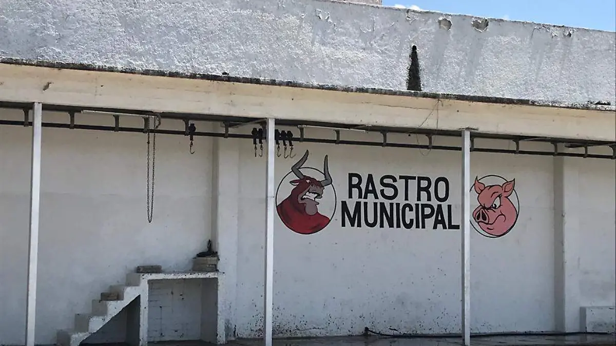 rastro-municipal-de-cuernavaca