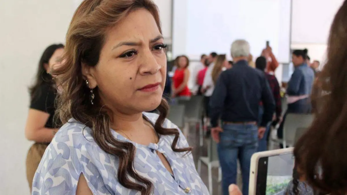 diputada-erika-hernández-gordillo