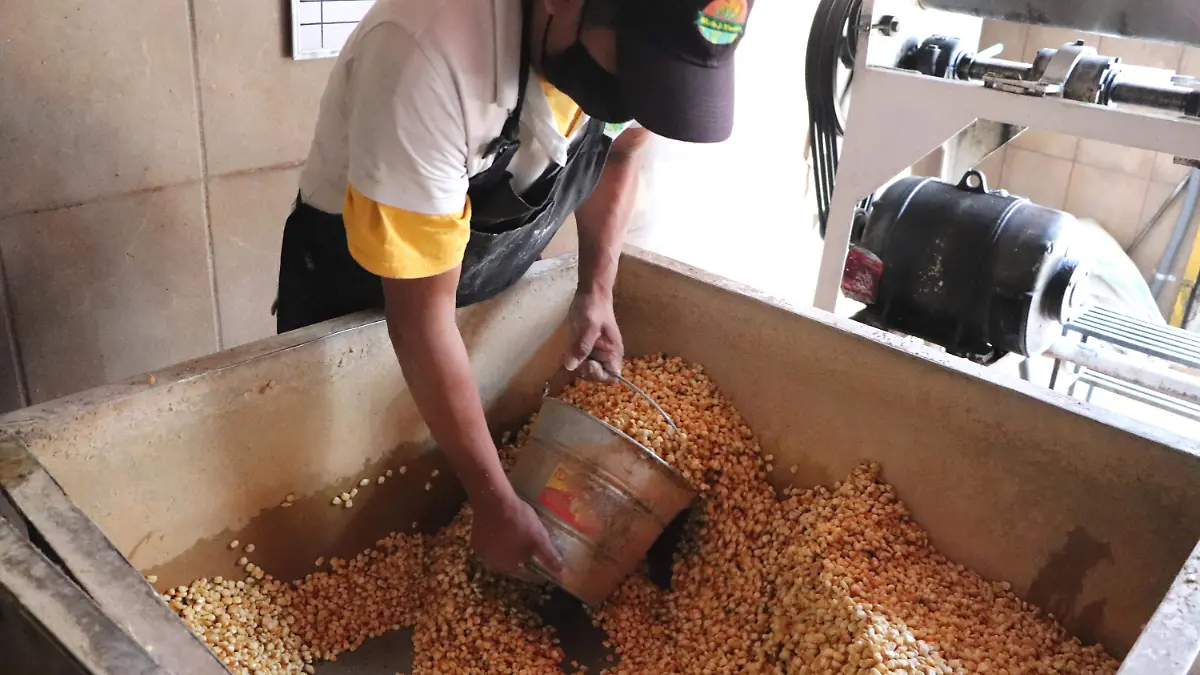 FROY-F04A Baja el precio de la tonelada de maíz en Morelos (5)