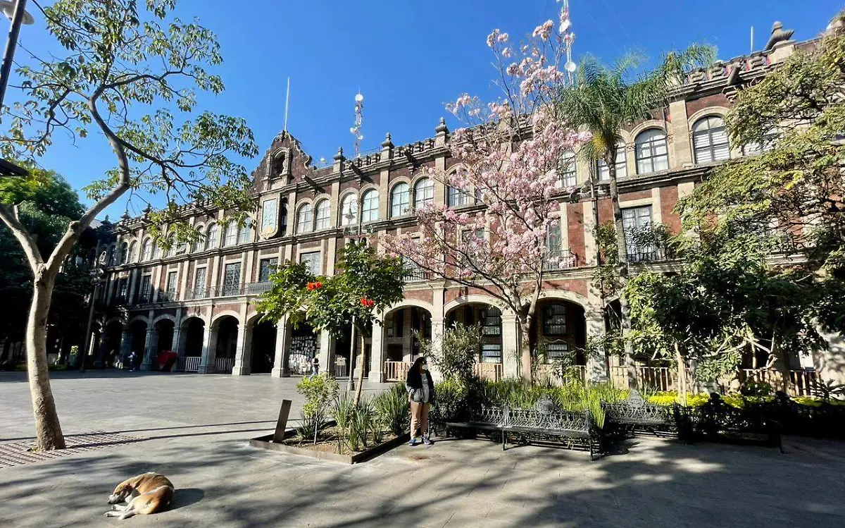 AGUS-F4E el recurso que interponga el ejecutivo podría tardar hasta un año en resolverse. (5) (1)