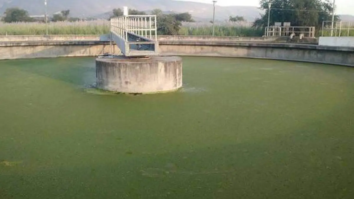 plantas-tratadoras-archivp