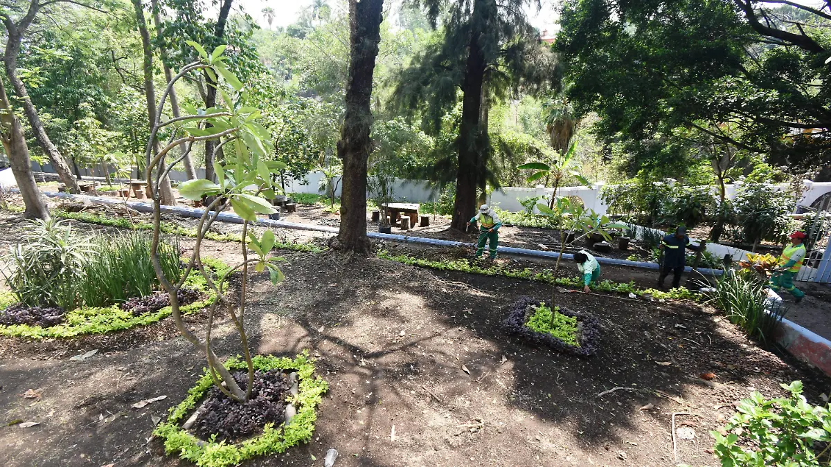 paseo-ribereño-cuernavaca-froy