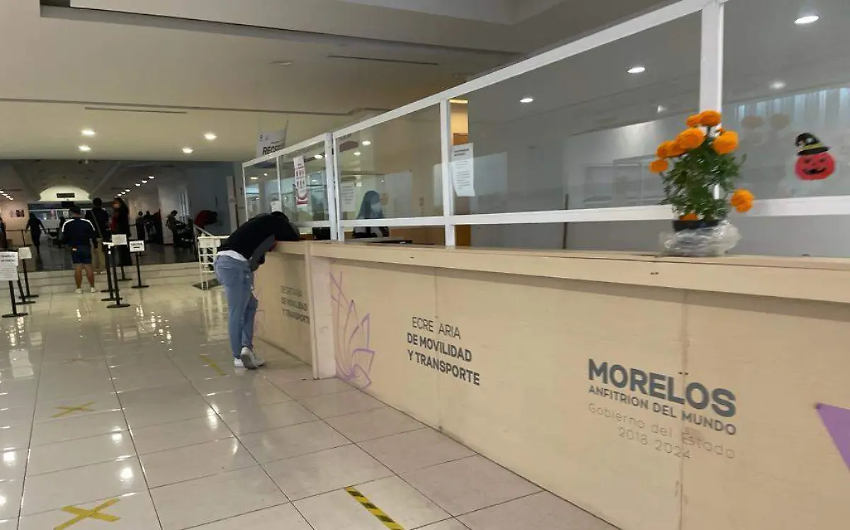 AGUS-F4E En abril, sería la fecha tentativa para entregar los tarjetones, tarjetas de circulación y placas físicas a los automovilistas (1)