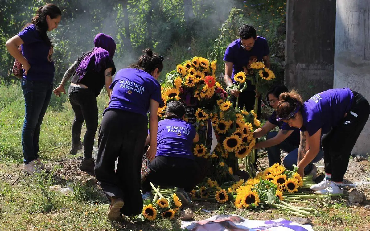 WhatsApp Image 2022-11-08 at 1.50.32 PM