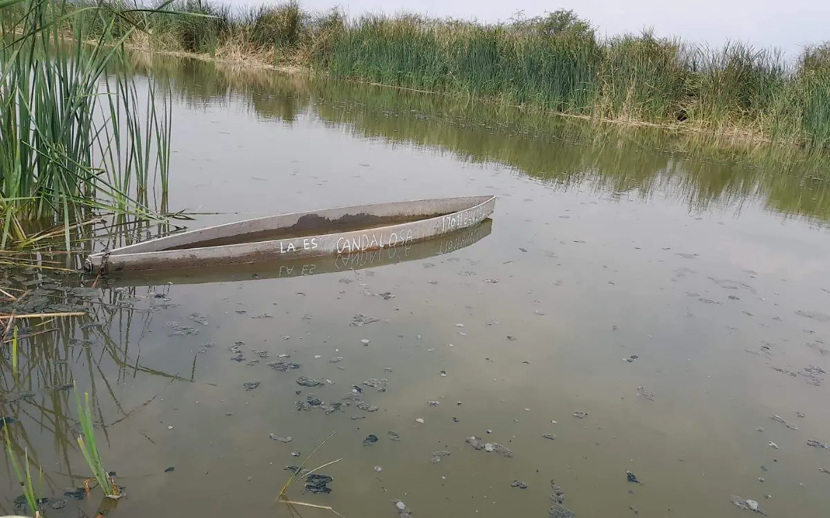 laguna-de-coatetelco