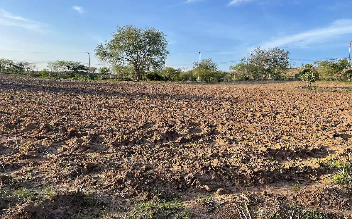 campo-sequía-morelos-archivo-agustín