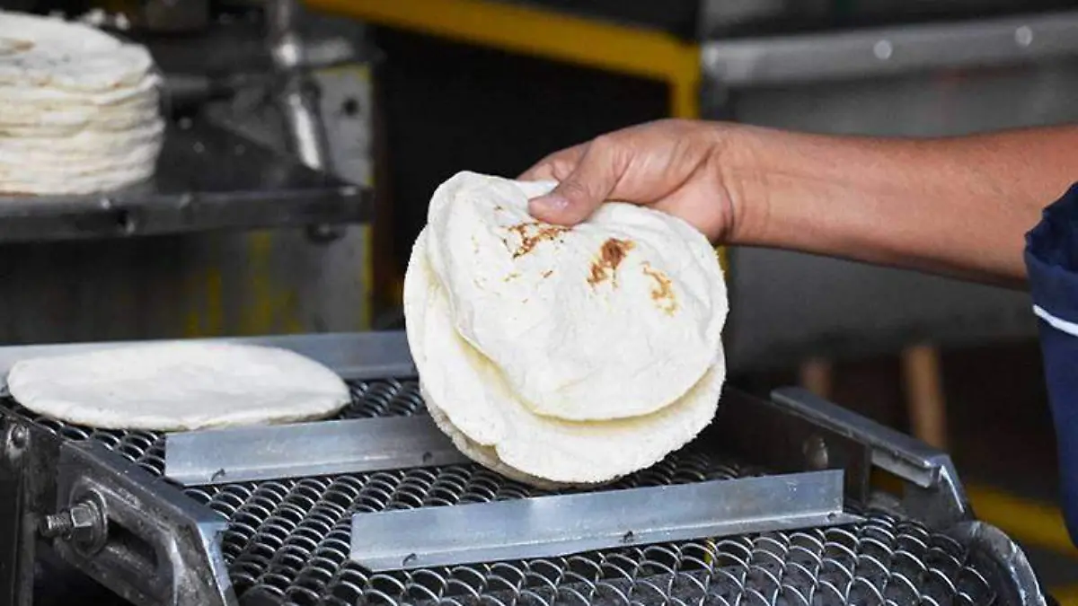 tortillas-aumentan-precio-kilo-archivo