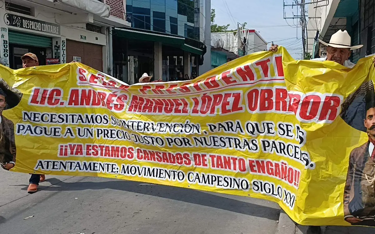 movimiento-campesino-siglo-xxi-abgelina