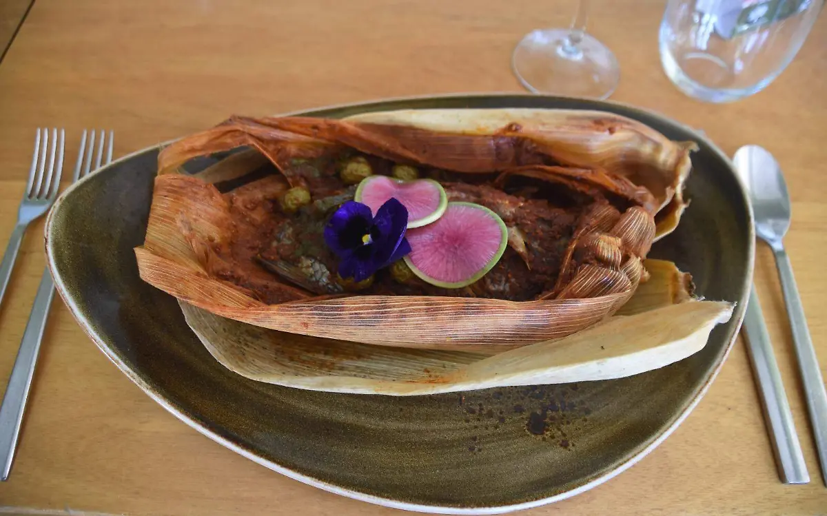 WhatsApp Image 2023-04-12 at 11.34.32 AM (1)