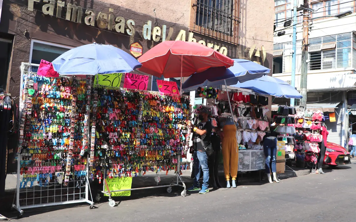 FROY-F06A En enero ya tendrán que quitar a los comerciantes ambulantes  (5)