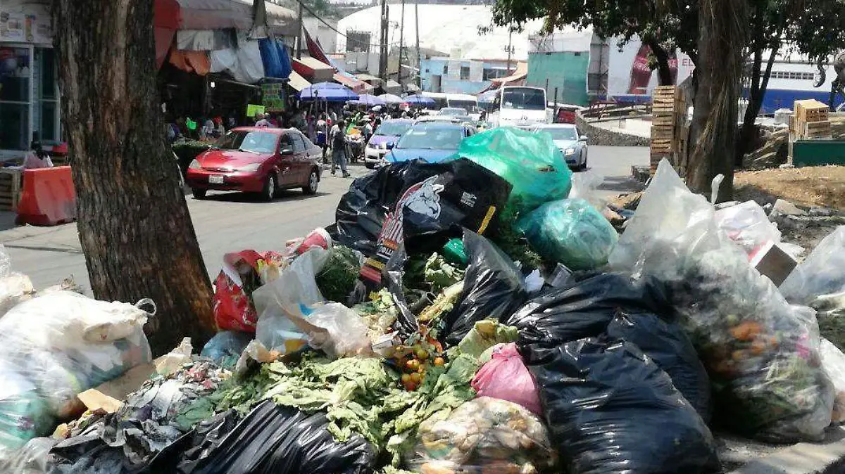 basura-froylan