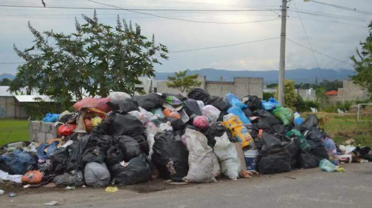 WhatsApp Image 2019-07-24 at 7.06.20 PM