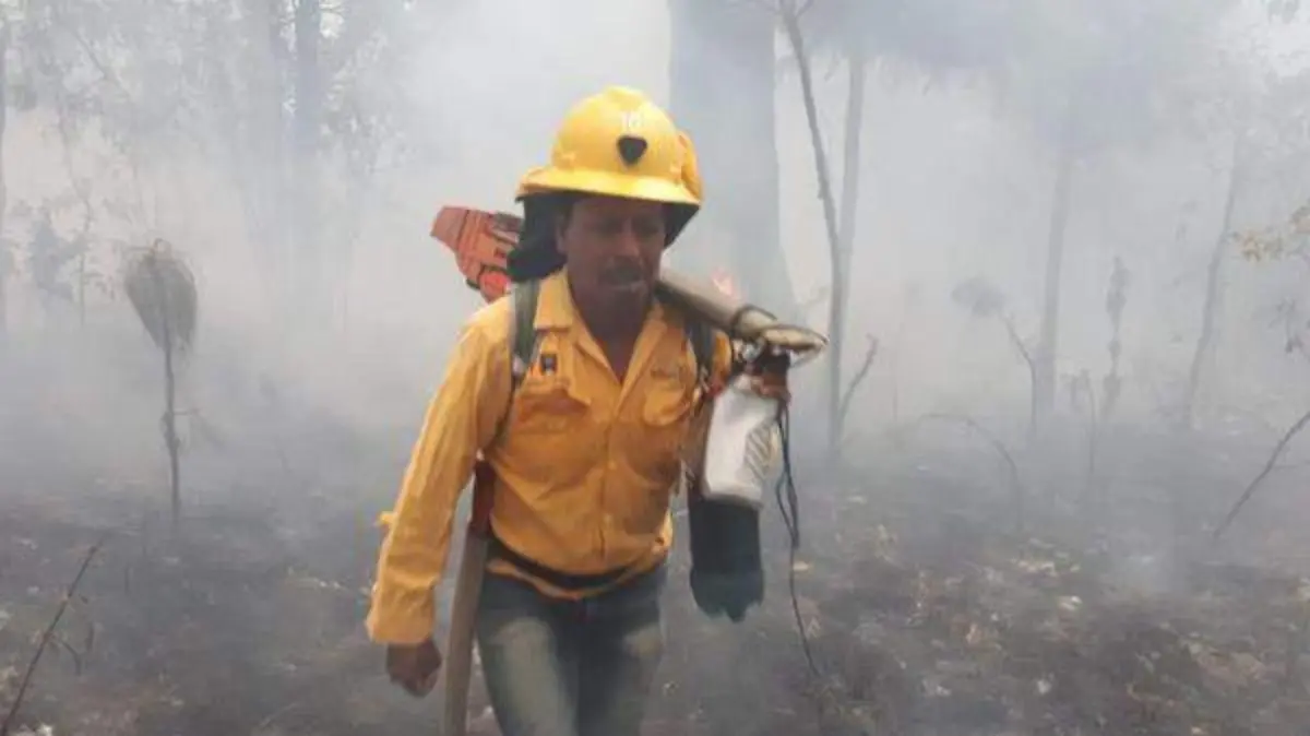 INCENDIOS-6