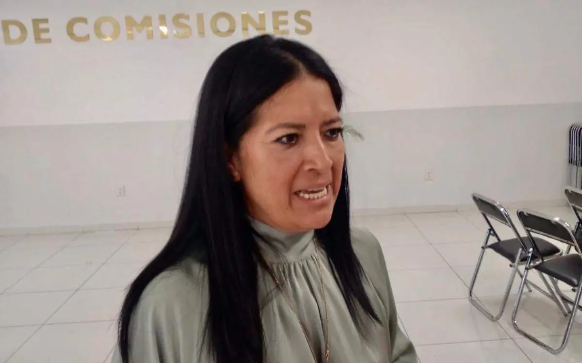 legisladora-mirna-zavala-zuñiga-agus