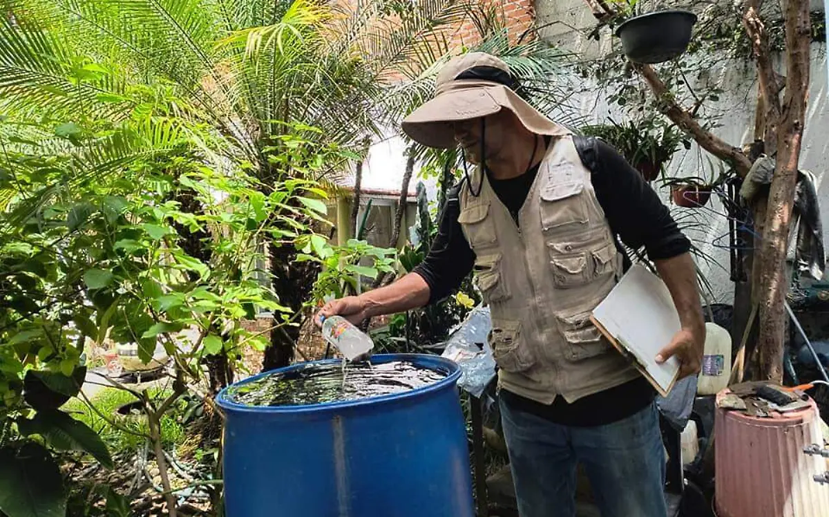 vectores-contra-dengue