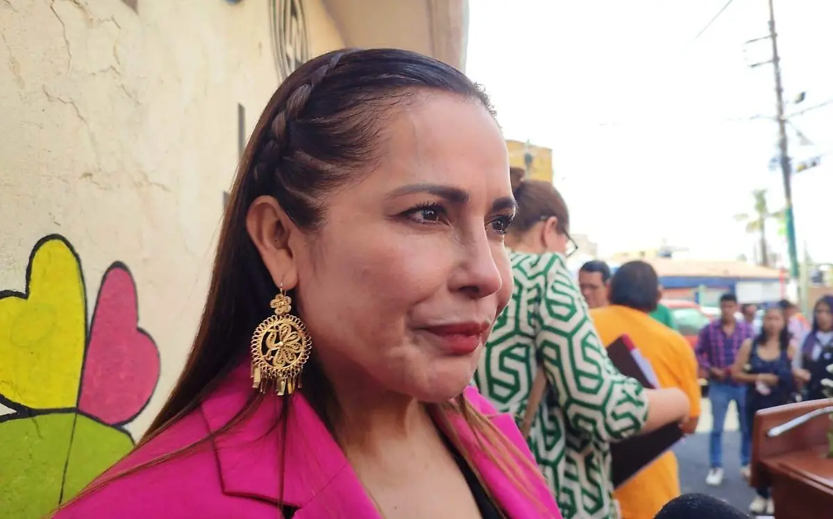 lorena-castillo-titular-del-imc