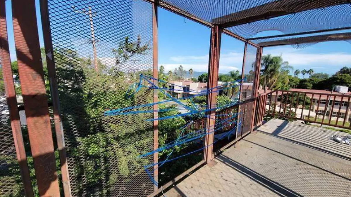 puente-peatonal-archivo