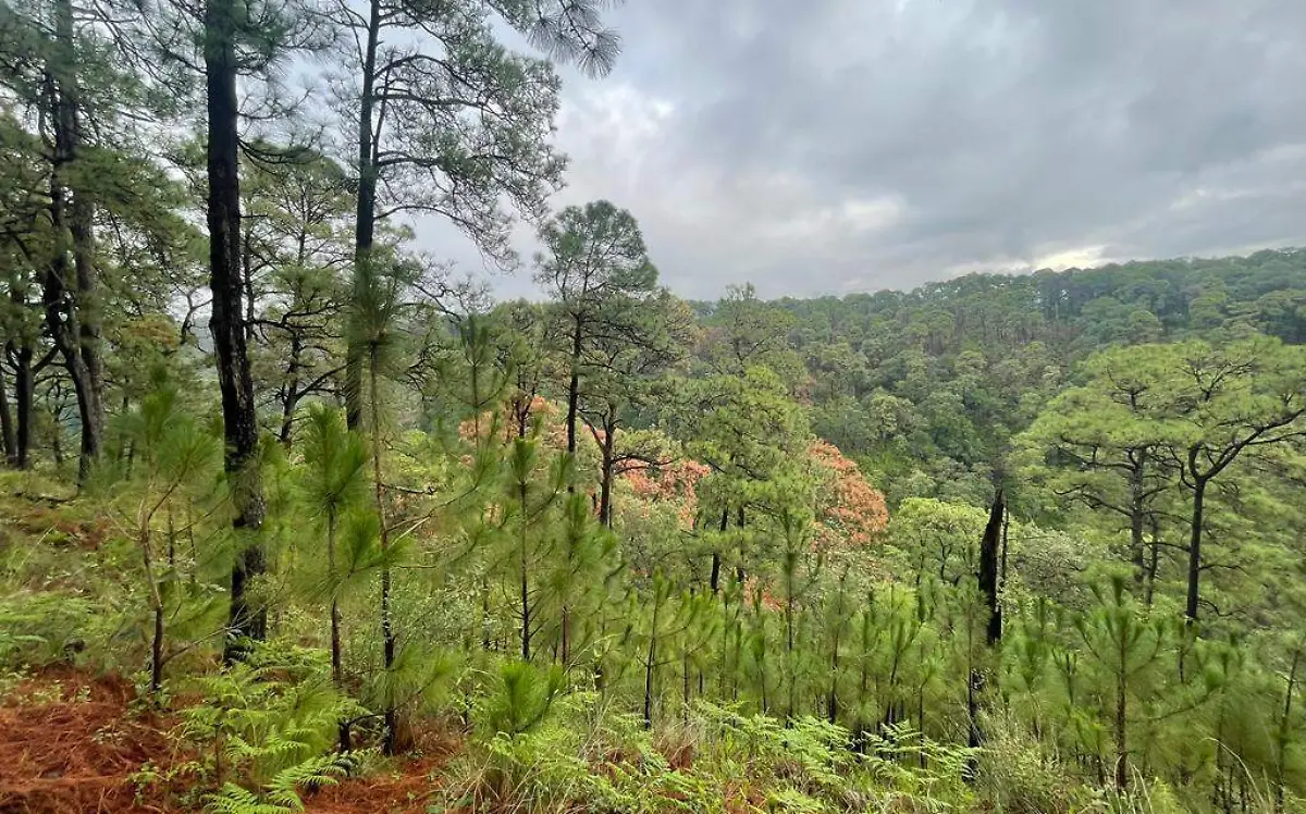 AGUS-F3R niciaron vigilancia permanente en zonas de reserva natural dependientes del estado (2)