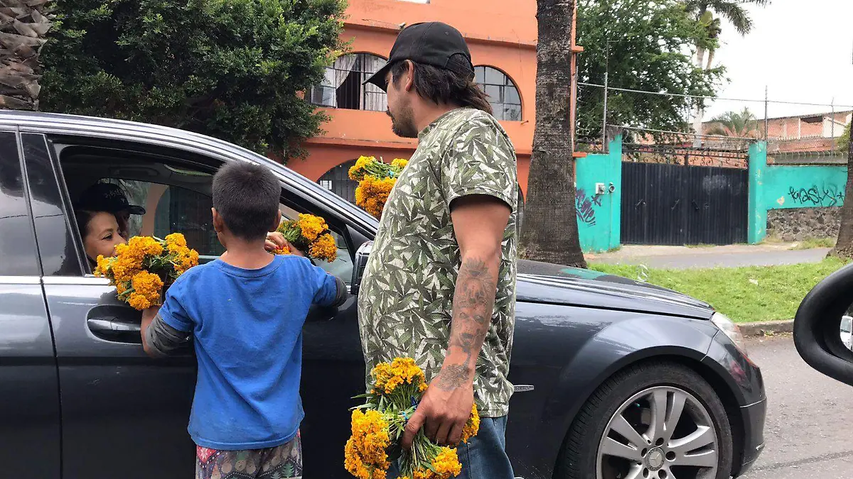 flor-de-pericon-froylan