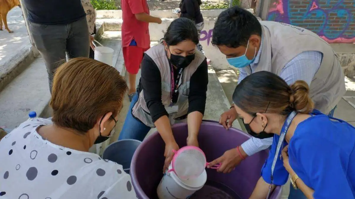 prevencion-dengue-angelina