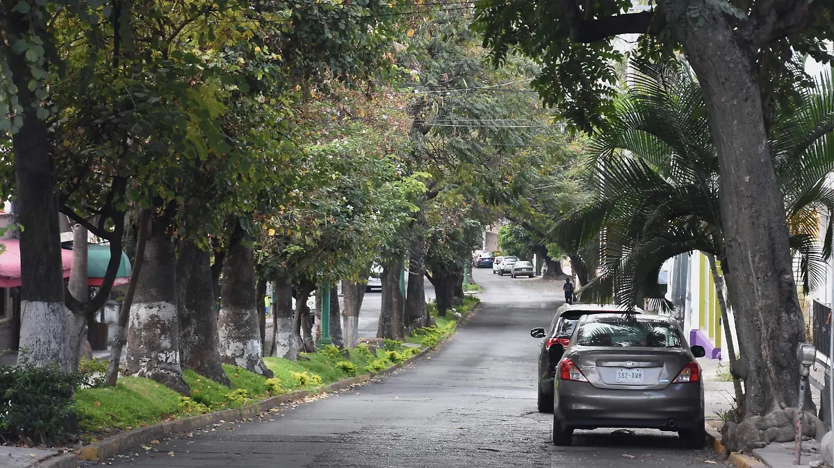 FROY-F06A Demetrio Chavira de la Torre (1)