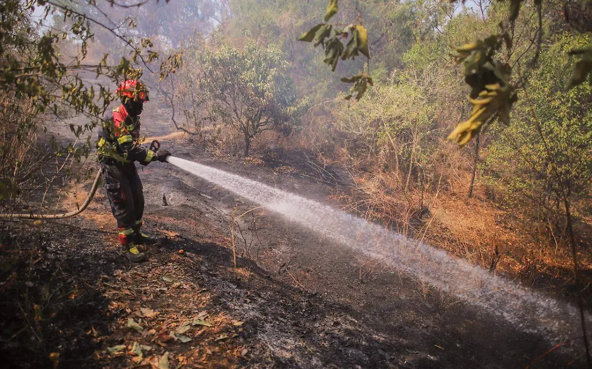 bombero-sofoca-un-incednio-forestal
