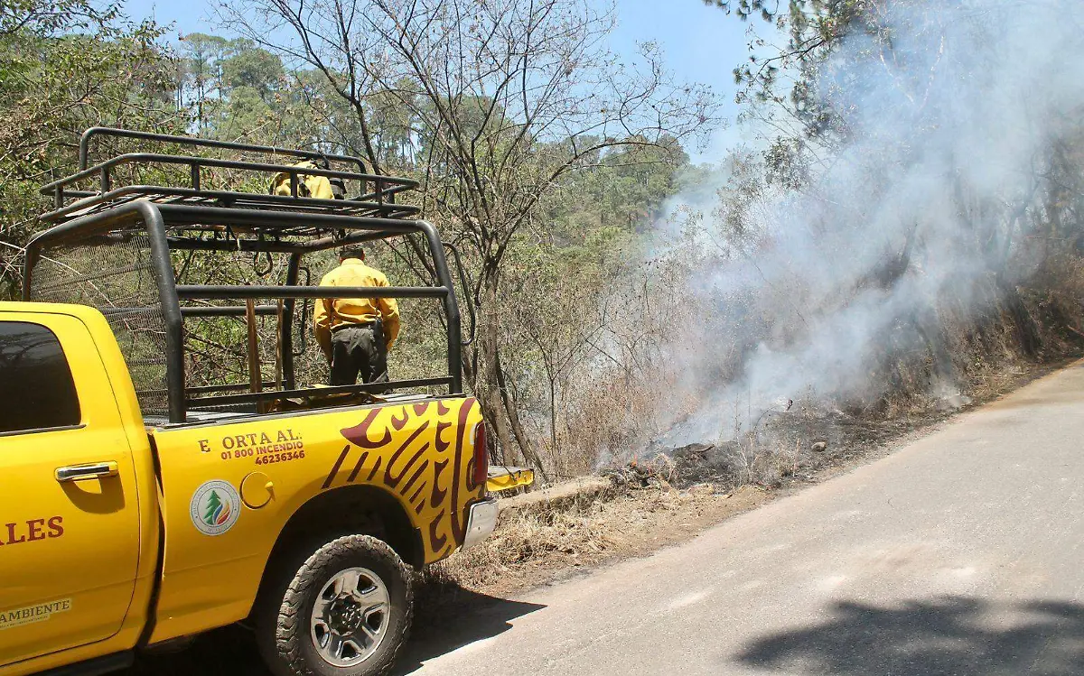 incendio-colonia-del-bosque