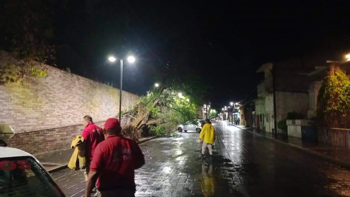 caída de árbol en Jojutla-Cortesía PC municipal