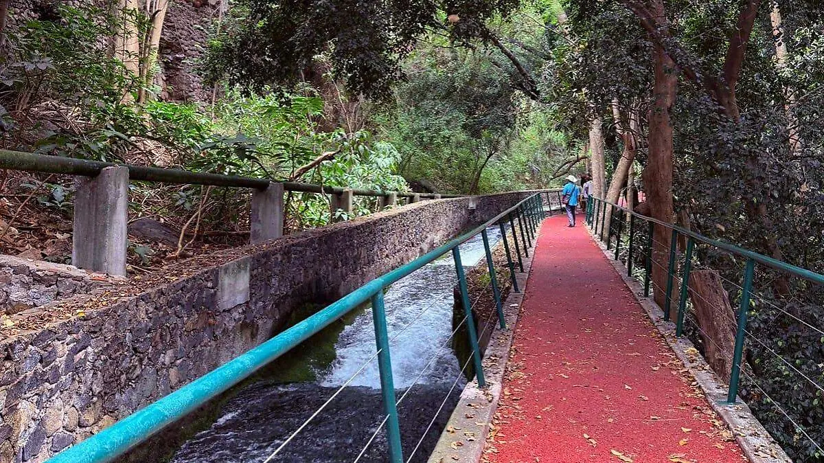 WhatsApp Image 2025-06-18 at 2.45.50 PM