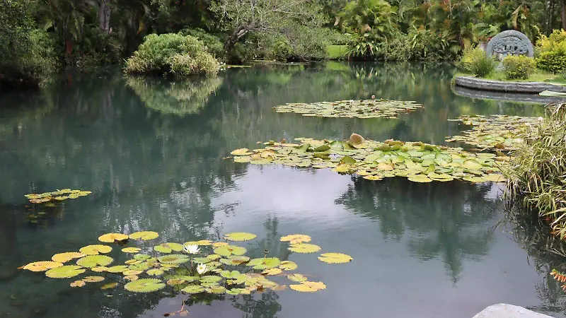 Tlaltizapán-Balneario-Santa-Isabel-aspecto