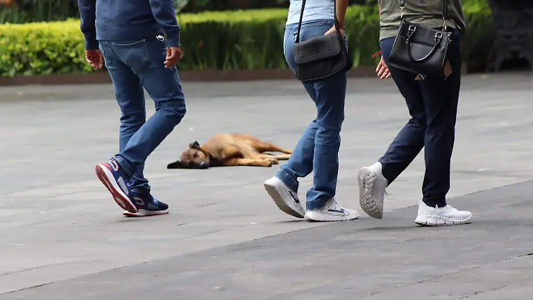 IMG-20250629-WA0156(1)